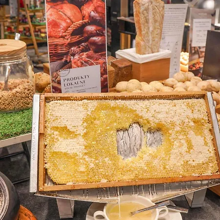 波兹南中心美居酒店 4* 波兹南